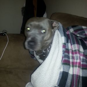 Meet your Posher, Jack